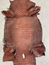 画像7: シャムクロコダイル　谷染め　レッドブラウン　34 (7)