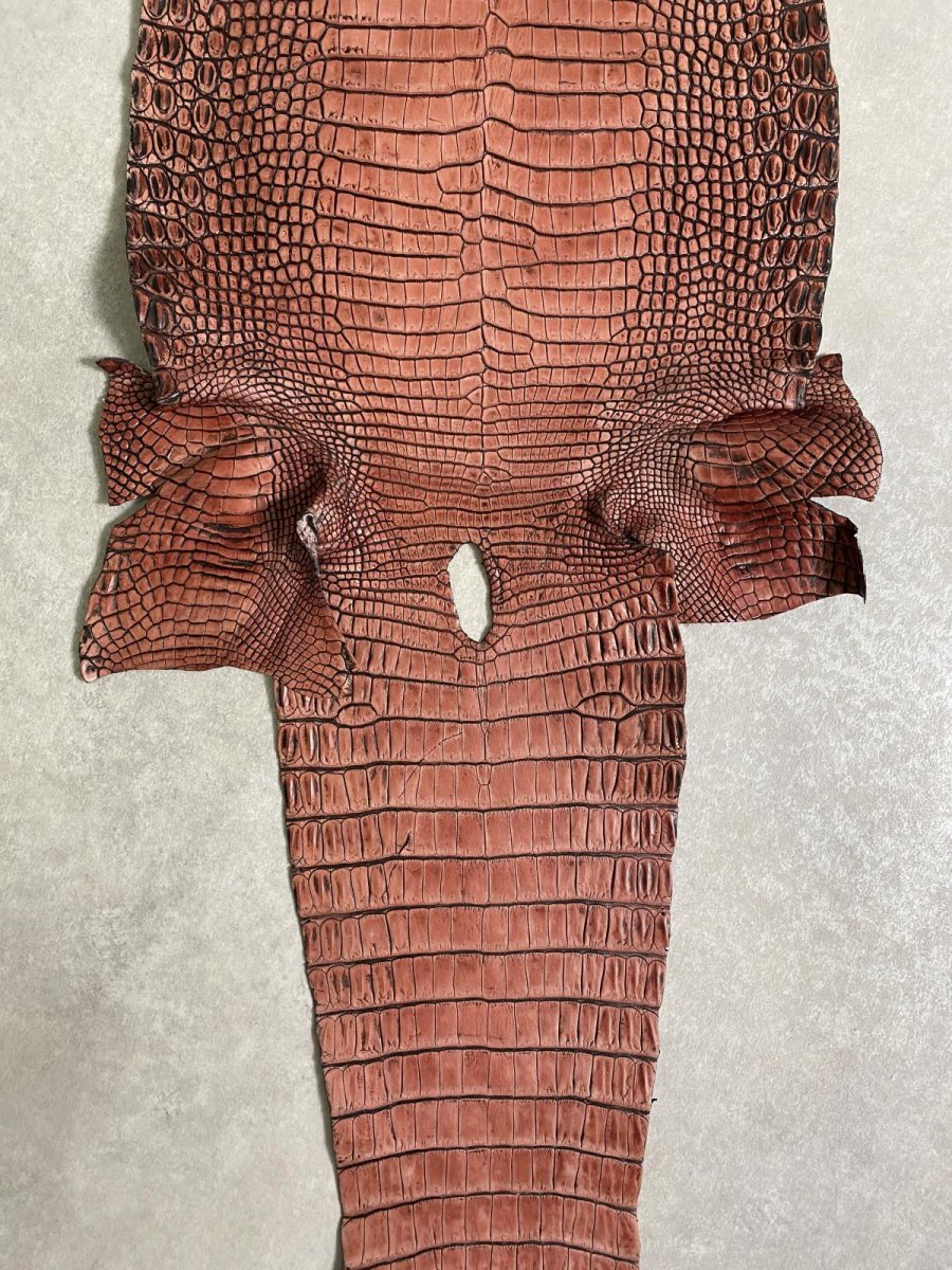 画像9: シャムクロコダイル　谷染め　レッドブラウン　34 (9)