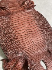 画像3: シャムクロコダイル　谷染め　レッドブラウン　34 (3)