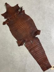 画像1: シャムクロコダイル　谷染め　ブラウン　30 (1)