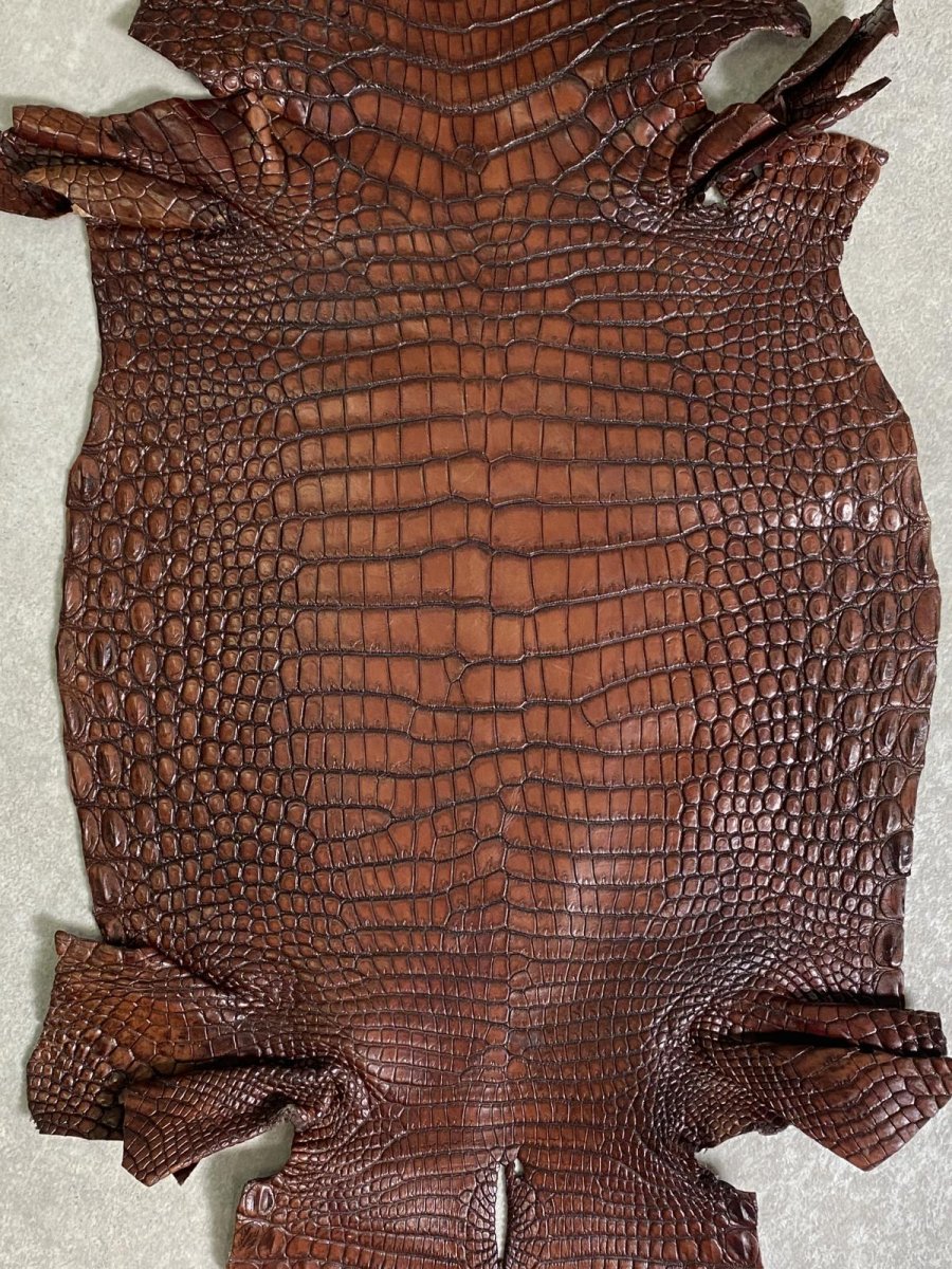 画像7: シャムクロコダイル　谷染め　ブラウン　30 (7)