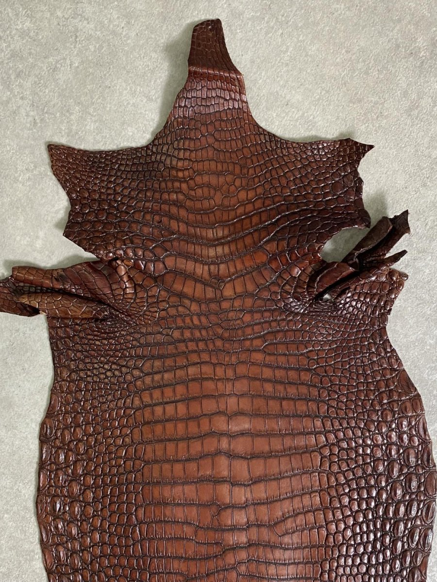 画像6: シャムクロコダイル　谷染め　ブラウン　30 (6)