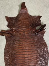 画像6: シャムクロコダイル　谷染め　ブラウン　30 (6)