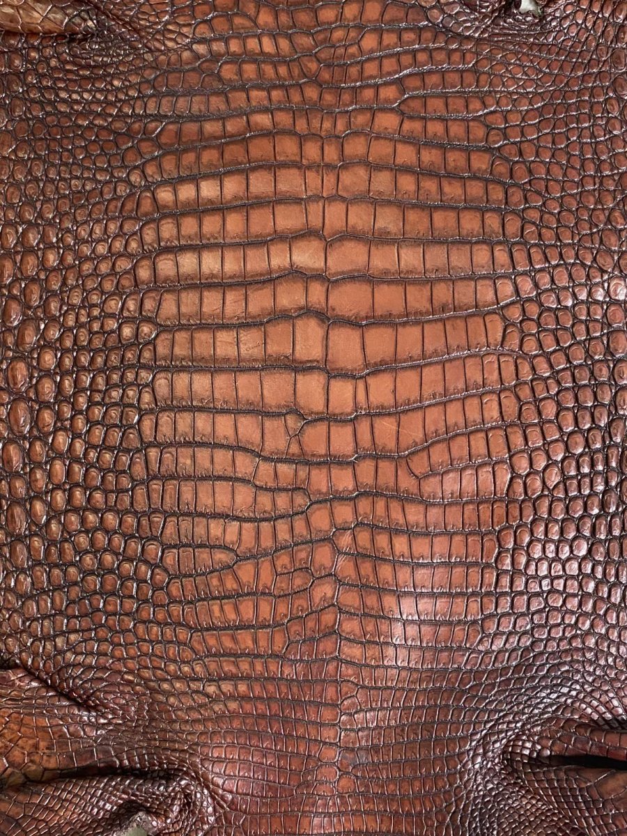 画像2: シャムクロコダイル　谷染め　ブラウン　30 (2)