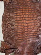 画像4: シャムクロコダイル　谷染め　ブラウン　30 (4)