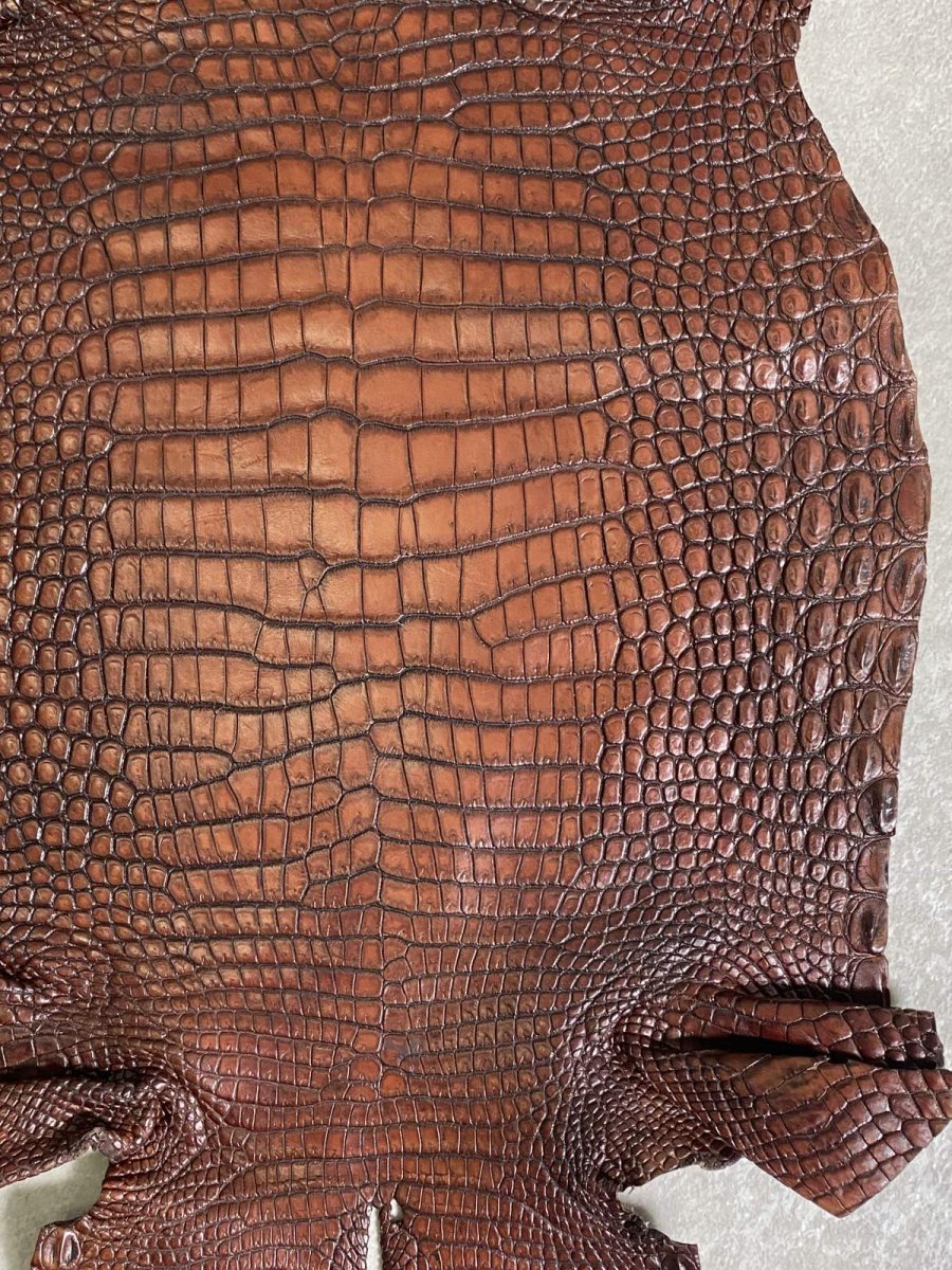 画像5: シャムクロコダイル　谷染め　ブラウン　30 (5)