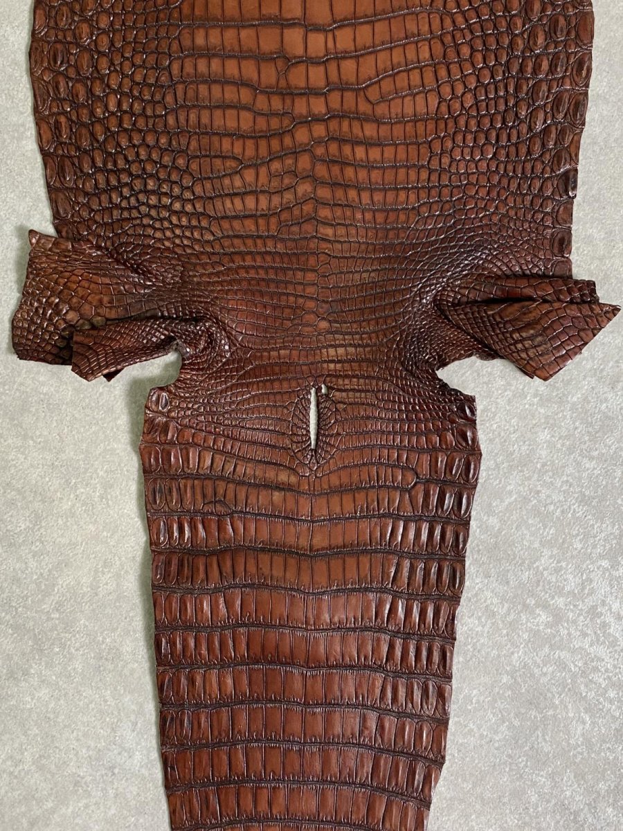 画像8: シャムクロコダイル　谷染め　ブラウン　30 (8)