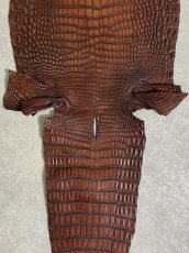 画像8: シャムクロコダイル　谷染め　ブラウン　30 (8)