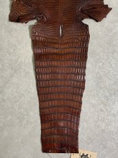 画像9: シャムクロコダイル　谷染め　ブラウン　30 (9)