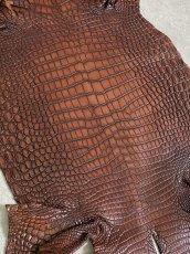画像3: シャムクロコダイル　谷染め　ブラウン　30 (3)