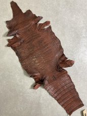 画像1: シャムクロコダイル　谷染め　ブラウン　40 (1)