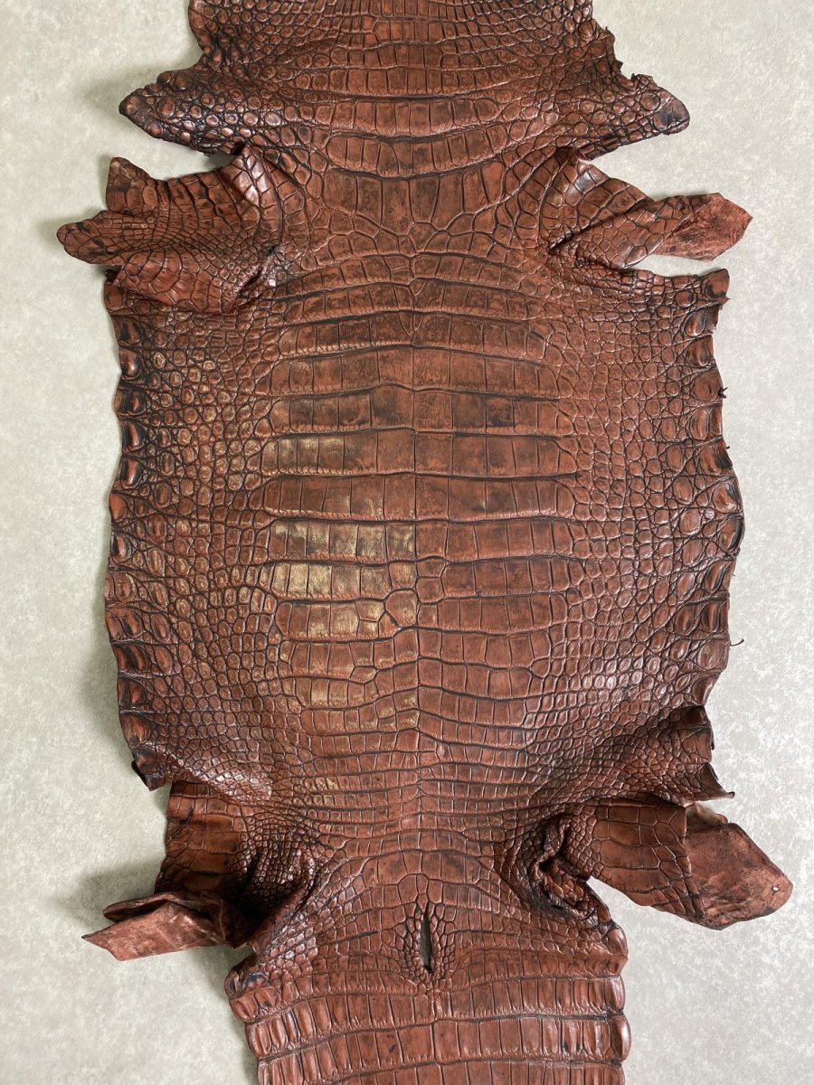 画像2: シャムクロコダイル　谷染め　ブラウン　40 (2)