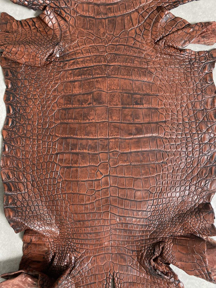 画像5: シャムクロコダイル　谷染め　ブラウン　40 (5)