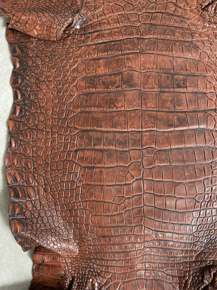 画像6: シャムクロコダイル　谷染め　ブラウン　40 (6)