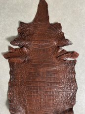 画像8: シャムクロコダイル　谷染め　ブラウン　40 (8)