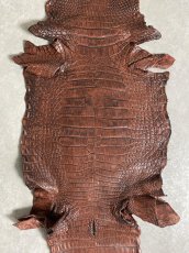 画像9: シャムクロコダイル　谷染め　ブラウン　40 (9)