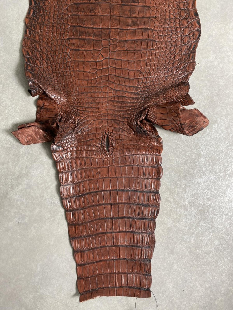 画像10: シャムクロコダイル　谷染め　ブラウン　40 (10)
