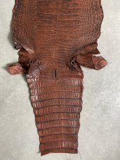 画像10: シャムクロコダイル　谷染め　ブラウン　40 (10)