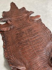画像4: シャムクロコダイル　谷染め　ブラウン　40 (4)