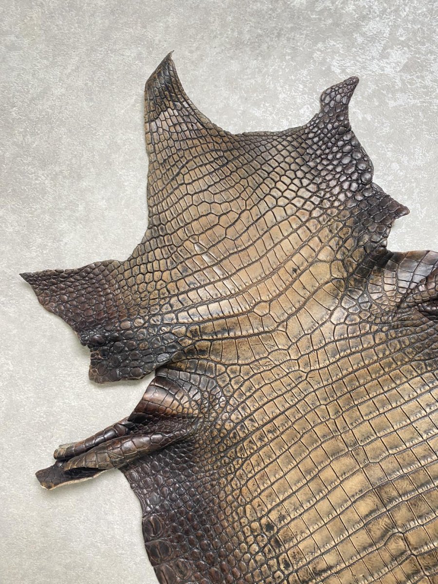 画像2: シャムクロコダイル　グラデーション　ニコチン　36　 (2)