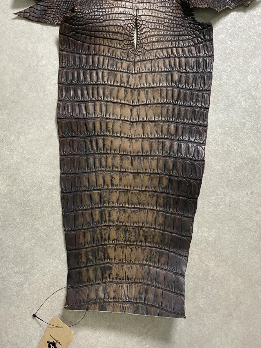 画像6: シャムクロコダイル　グラデーション　ニコチン　36　 (6)