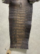 画像6: シャムクロコダイル　グラデーション　ニコチン　36　 (6)