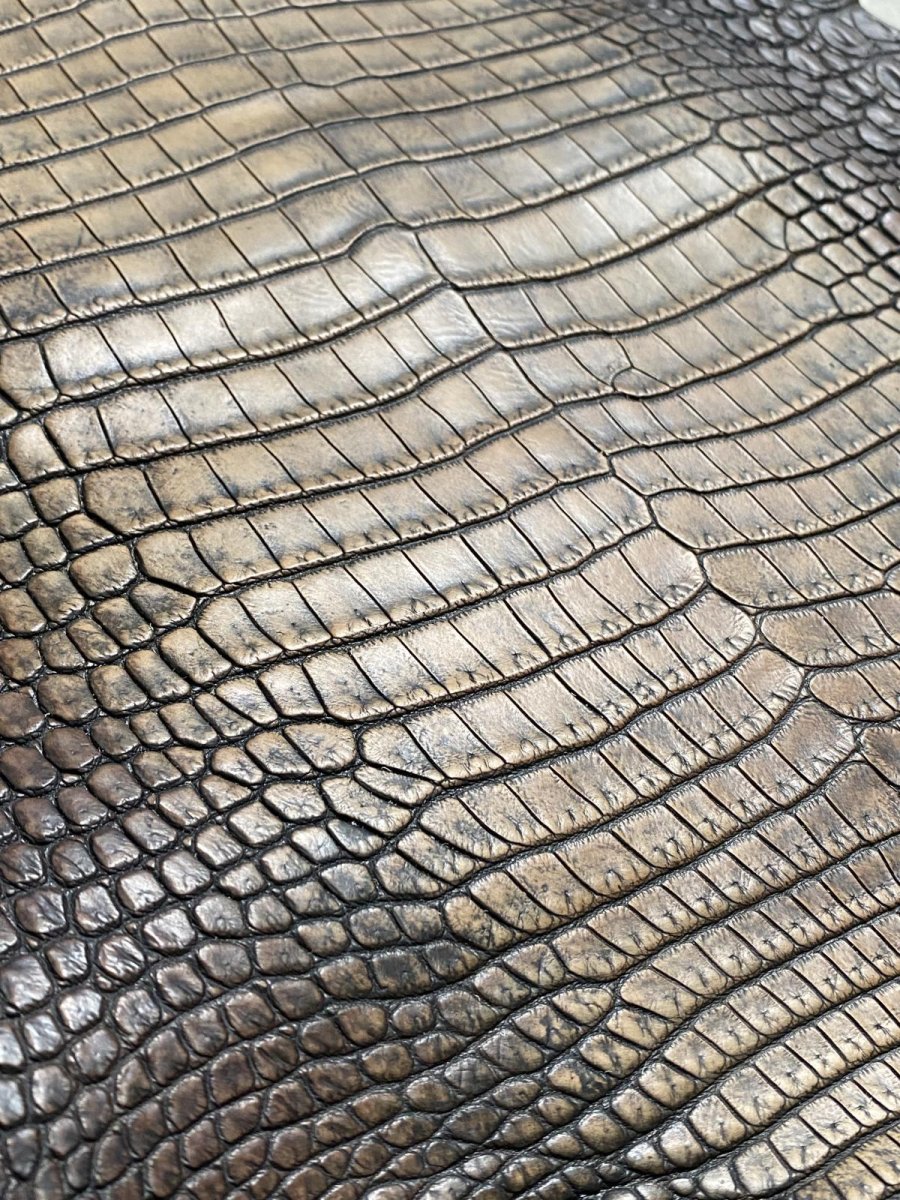 画像8: シャムクロコダイル　グラデーション　ニコチン　36　 (8)