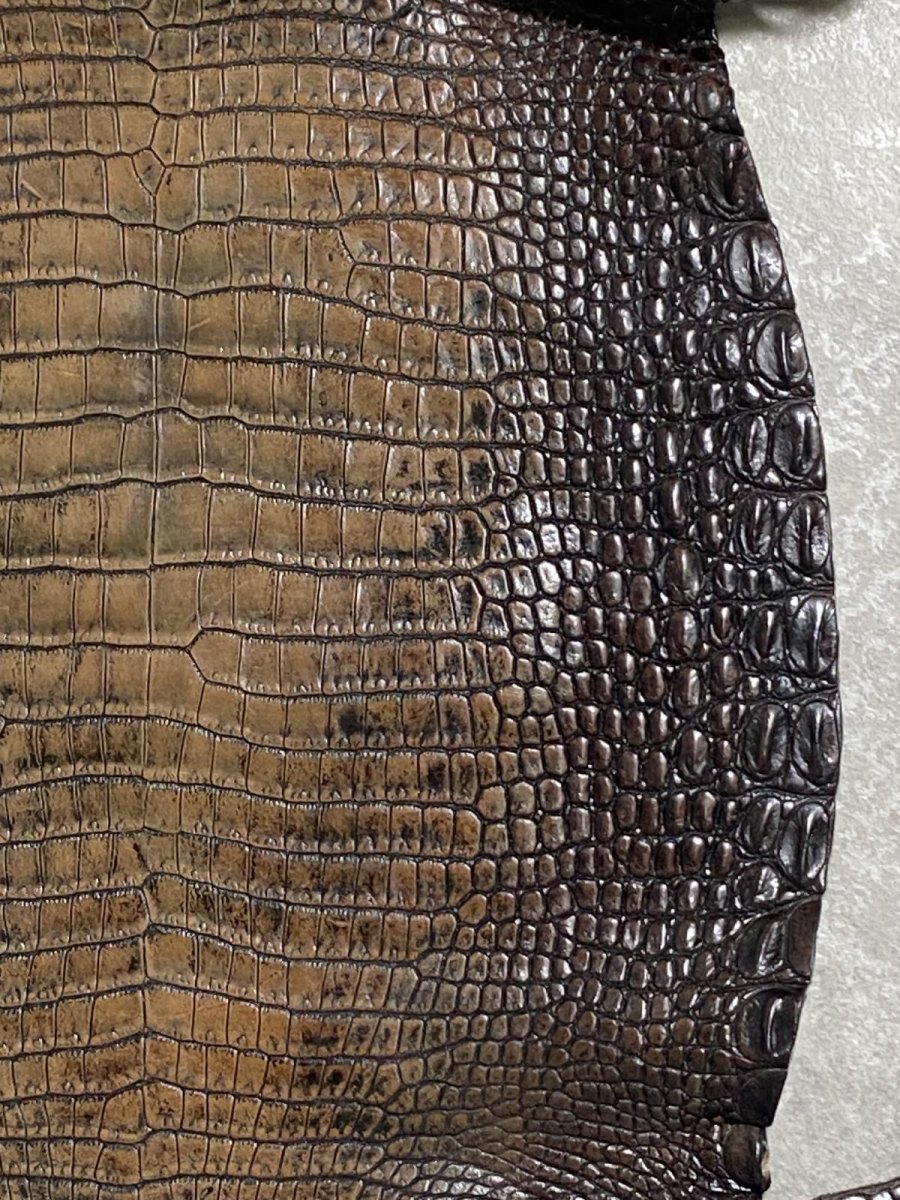 画像5: シャムクロコダイル　グラデーション　ニコチン　34 (5)