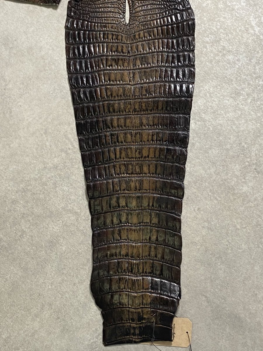 画像6: シャムクロコダイル　グラデーション　ニコチン　34 (6)