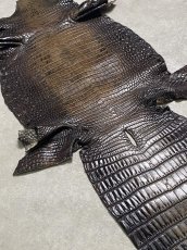 画像7: シャムクロコダイル　グラデーション　ニコチン　34 (7)