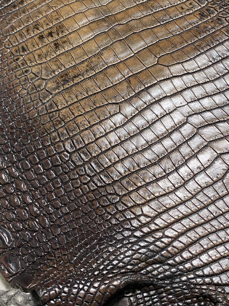 画像8: シャムクロコダイル　グラデーション　ニコチン　34 (8)