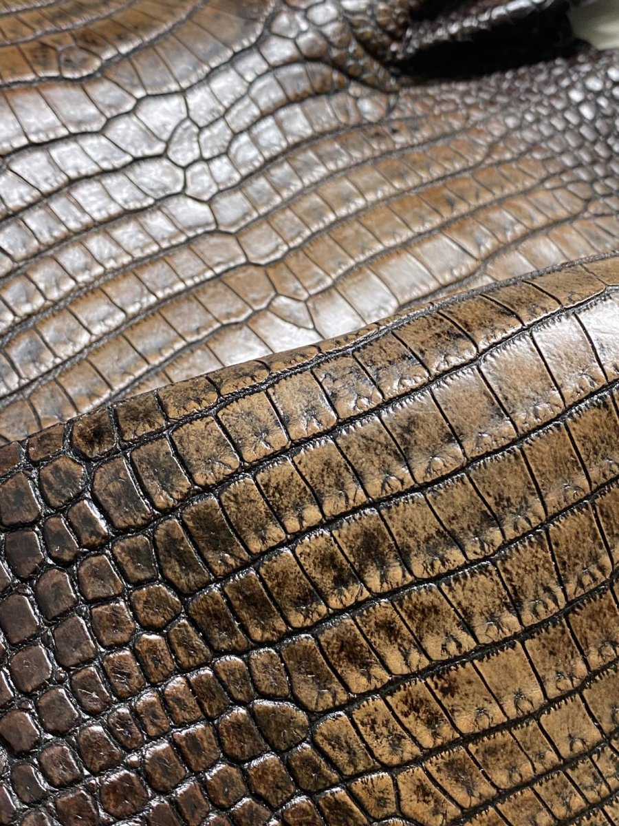 画像9: シャムクロコダイル　グラデーション　ニコチン　34 (9)