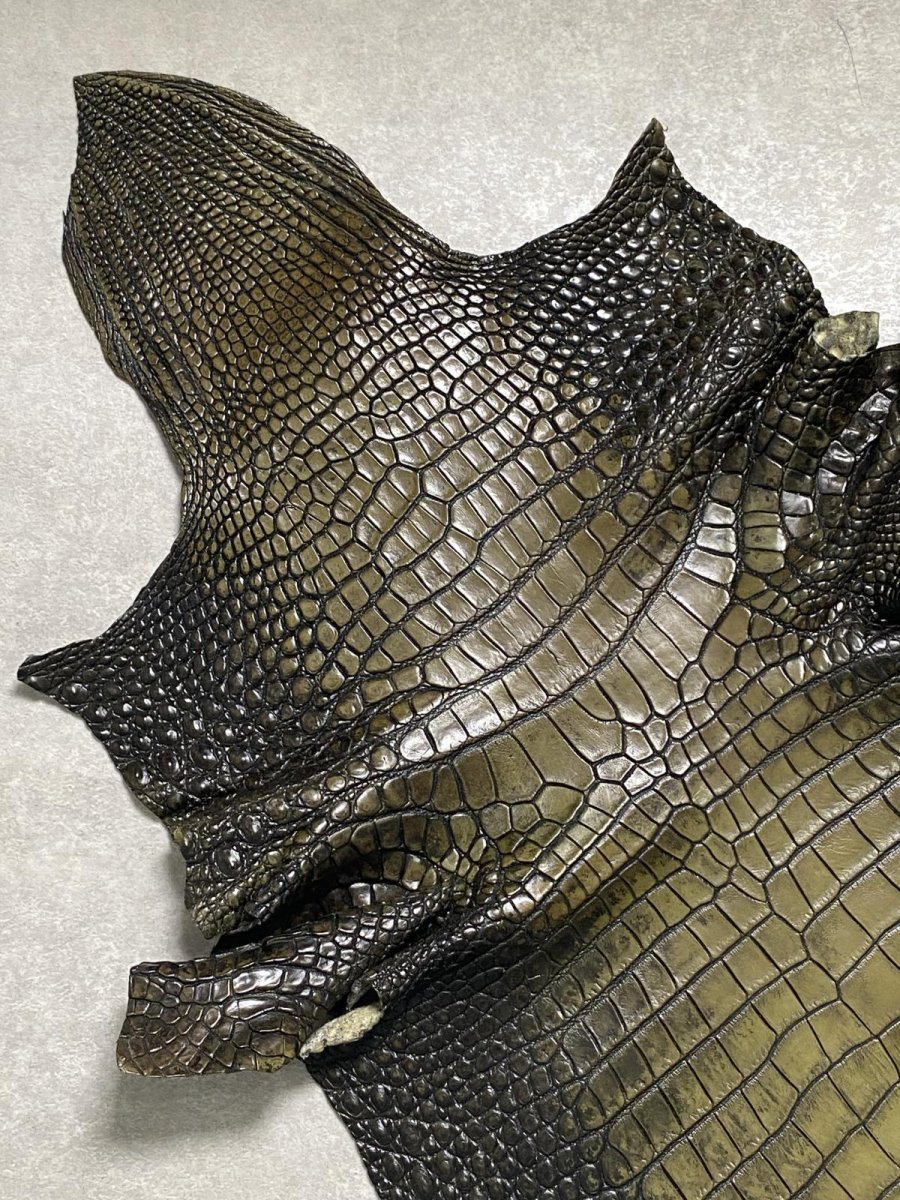 画像2: シャムクロコダイル　グラデーション　カーキ　47 (2)