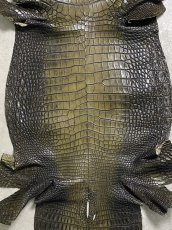 画像3: シャムクロコダイル　グラデーション　カーキ　47 (3)