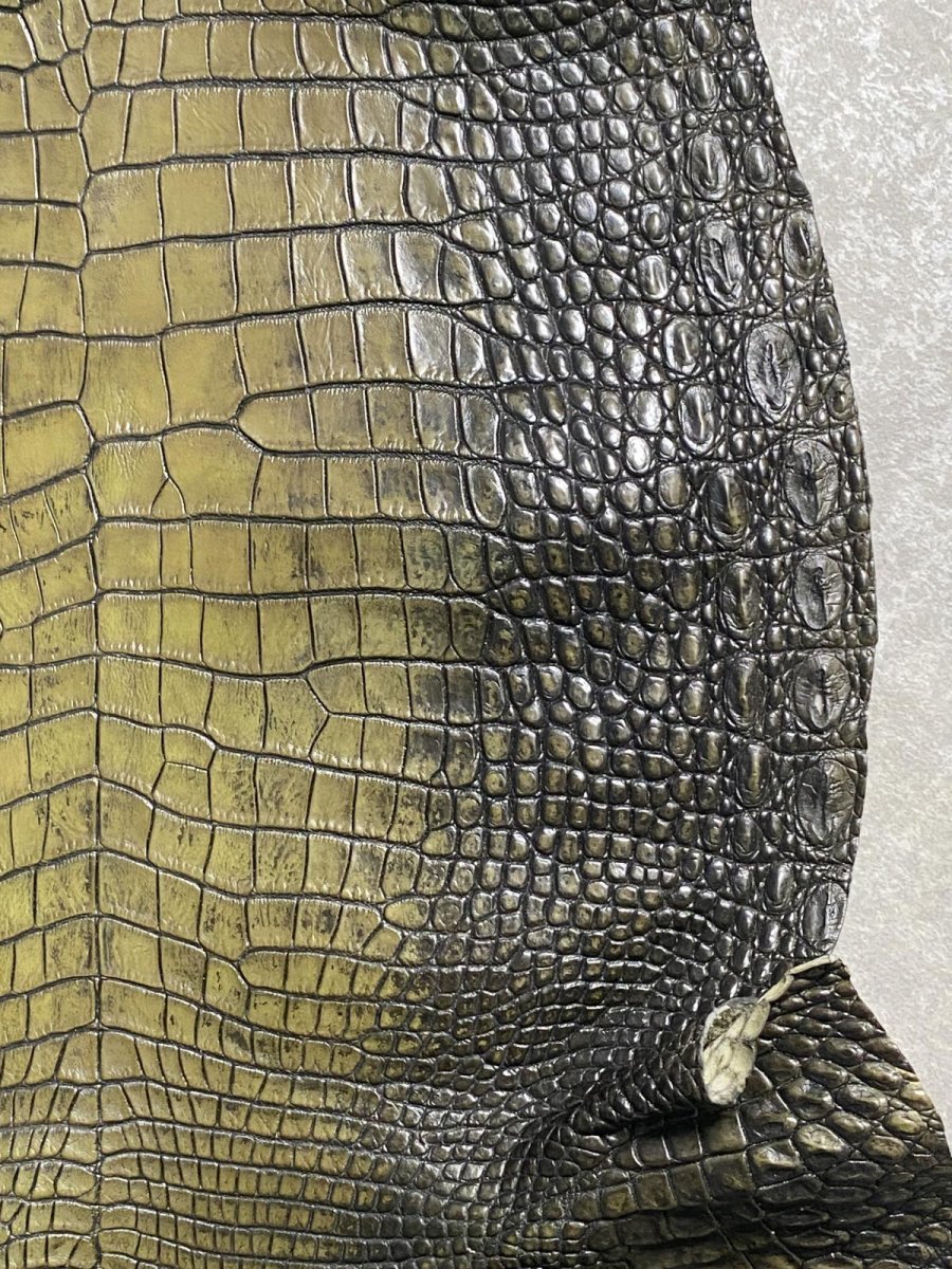 画像5: シャムクロコダイル　グラデーション　カーキ　47 (5)