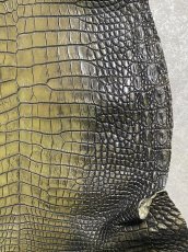 画像5: シャムクロコダイル　グラデーション　カーキ　47 (5)