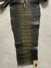 画像6: シャムクロコダイル　グラデーション　カーキ　47 (6)