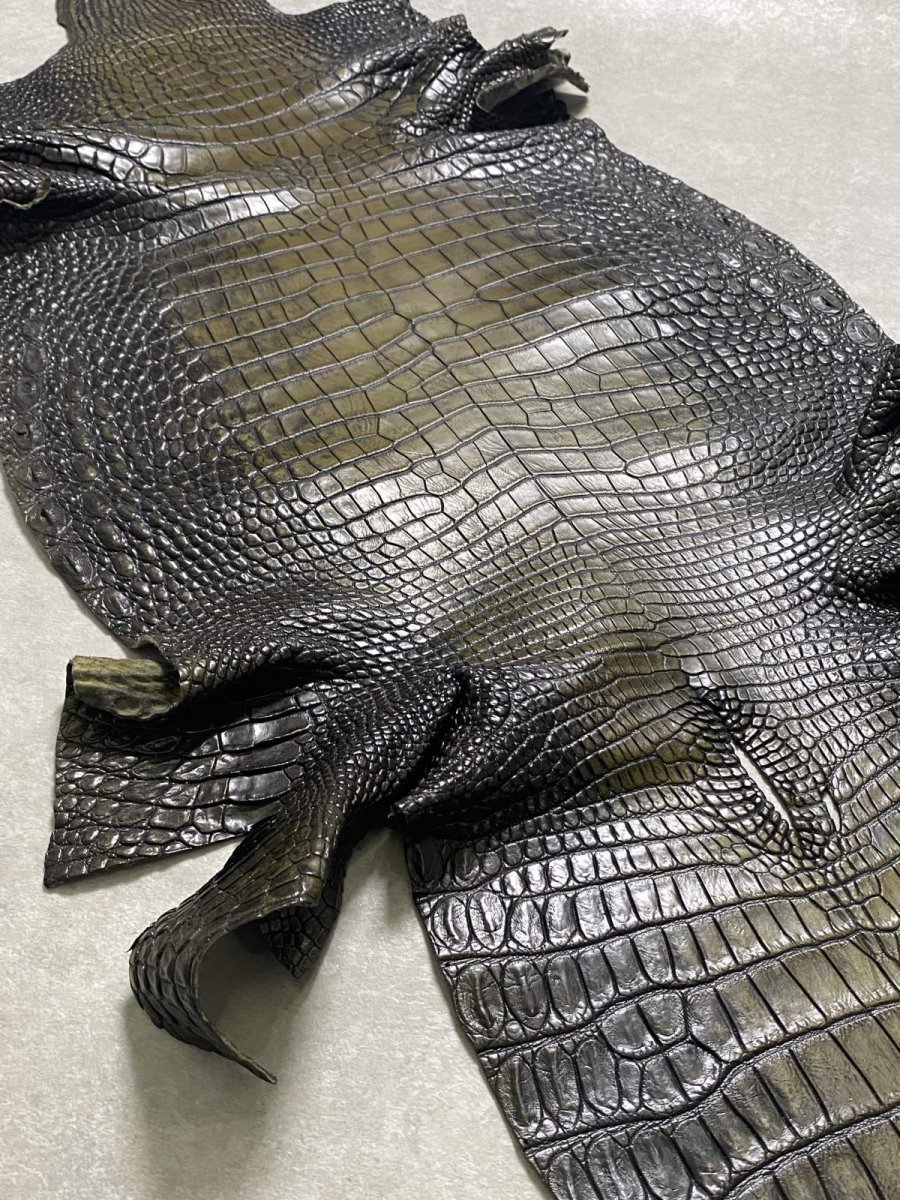 画像7: シャムクロコダイル　グラデーション　カーキ　47 (7)
