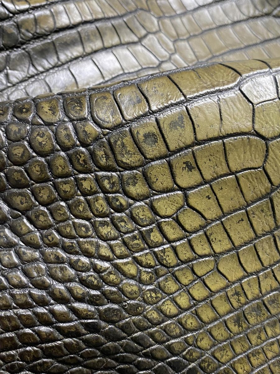 画像8: シャムクロコダイル　グラデーション　カーキ　47 (8)
