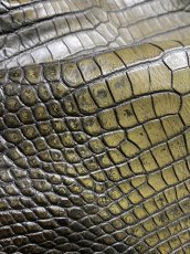 画像8: シャムクロコダイル　グラデーション　カーキ　47 (8)