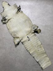 画像9: シャムクロコダイル　グラデーション　カーキ　47 (9)