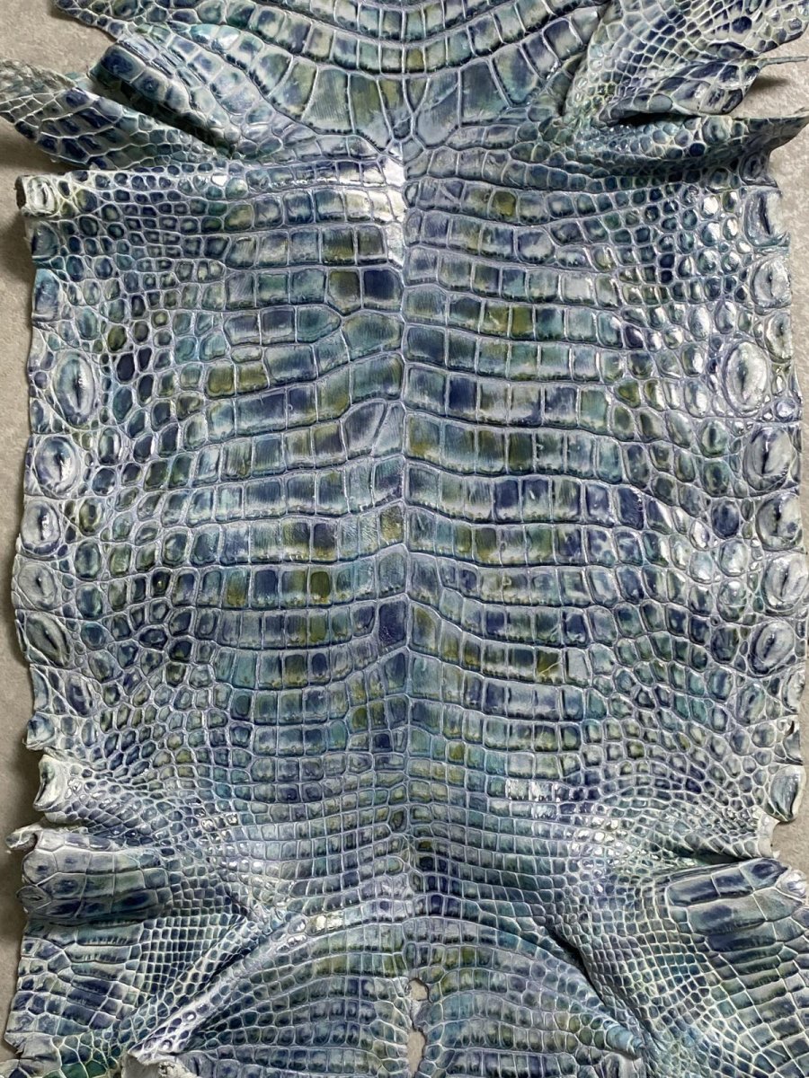 画像3: ナイルクロコ　シェルパールレインボー　ブルー　34　ワニ革　クロコダイル革 (3)