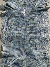 画像3: ナイルクロコ　シェルパールレインボー　ブルー　34　ワニ革　クロコダイル革 (3)