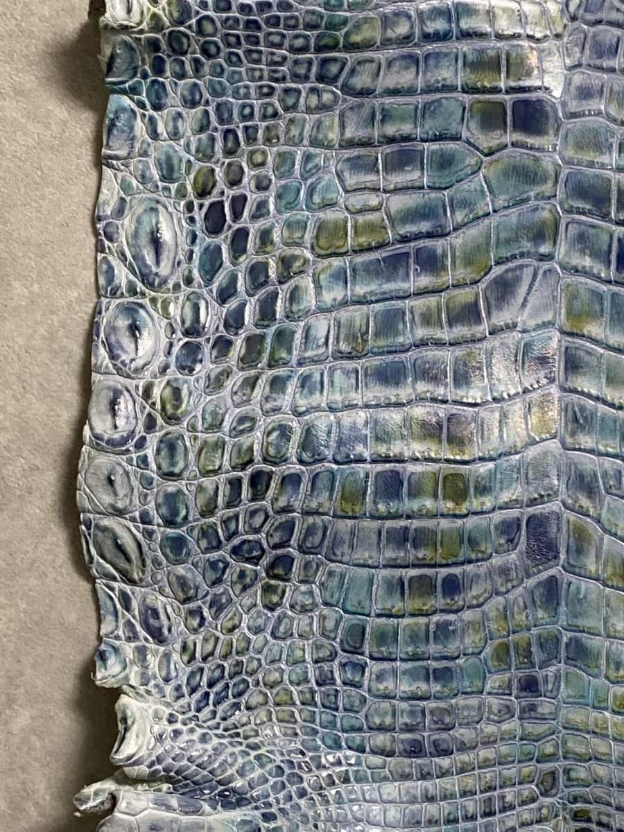 画像4: ナイルクロコ　シェルパールレインボー　ブルー　34　ワニ革　クロコダイル革 (4)