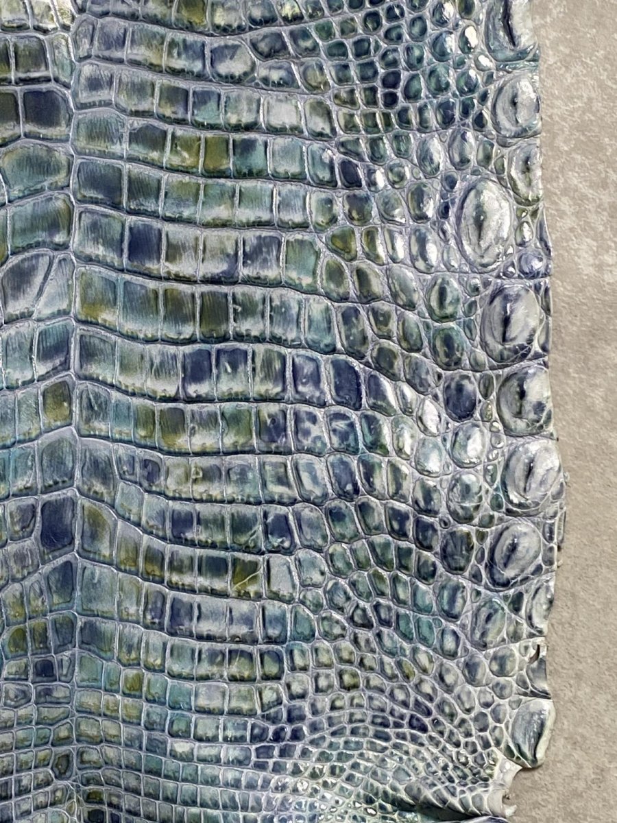 画像5: ナイルクロコ　シェルパールレインボー　ブルー　34　ワニ革　クロコダイル革 (5)