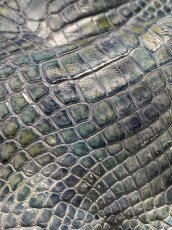画像8: ナイルクロコ　シェルパールレインボー　ブルー　34　ワニ革　クロコダイル革 (8)