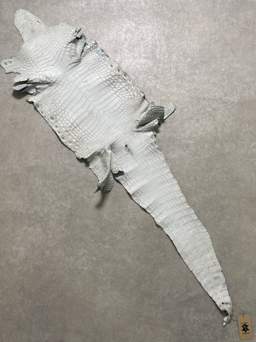 画像10: ナイルクロコ　シェルパールレインボー　ブルー　34　ワニ革　クロコダイル革 (10)