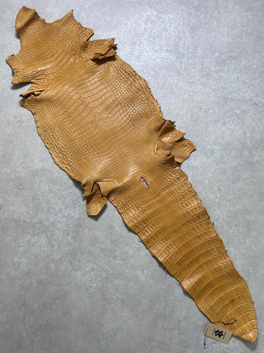 画像1: ナイルクロコ　チェスナッツ　42　ワニ革　クロコダイル革 (1)