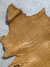 画像2: ナイルクロコ　チェスナッツ　42　ワニ革　クロコダイル革 (2)