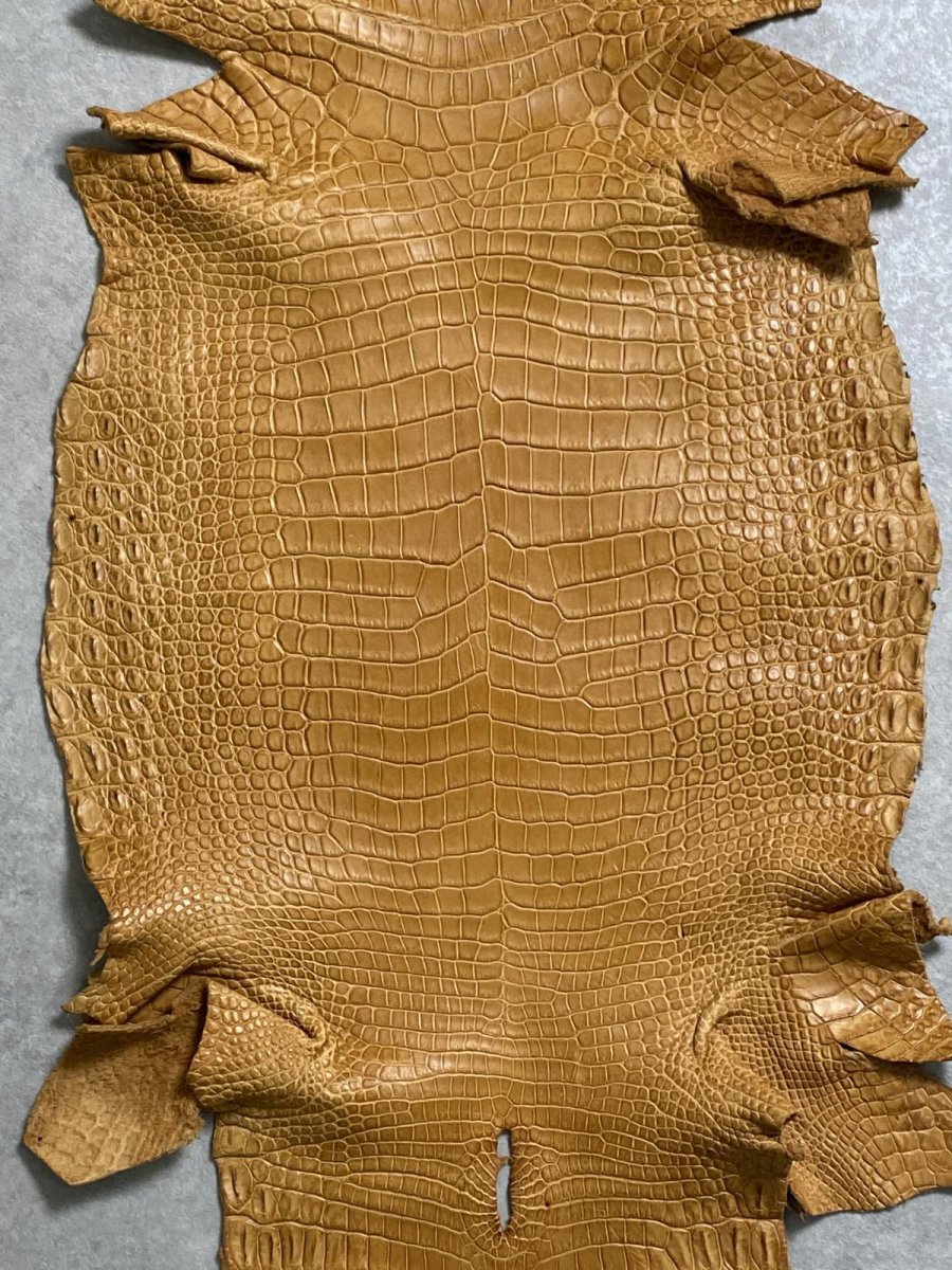 画像3: ナイルクロコ　チェスナッツ　42　ワニ革　クロコダイル革 (3)